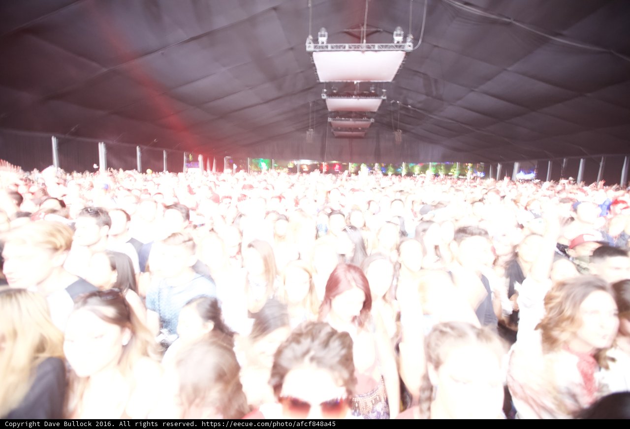 Concert Chaos