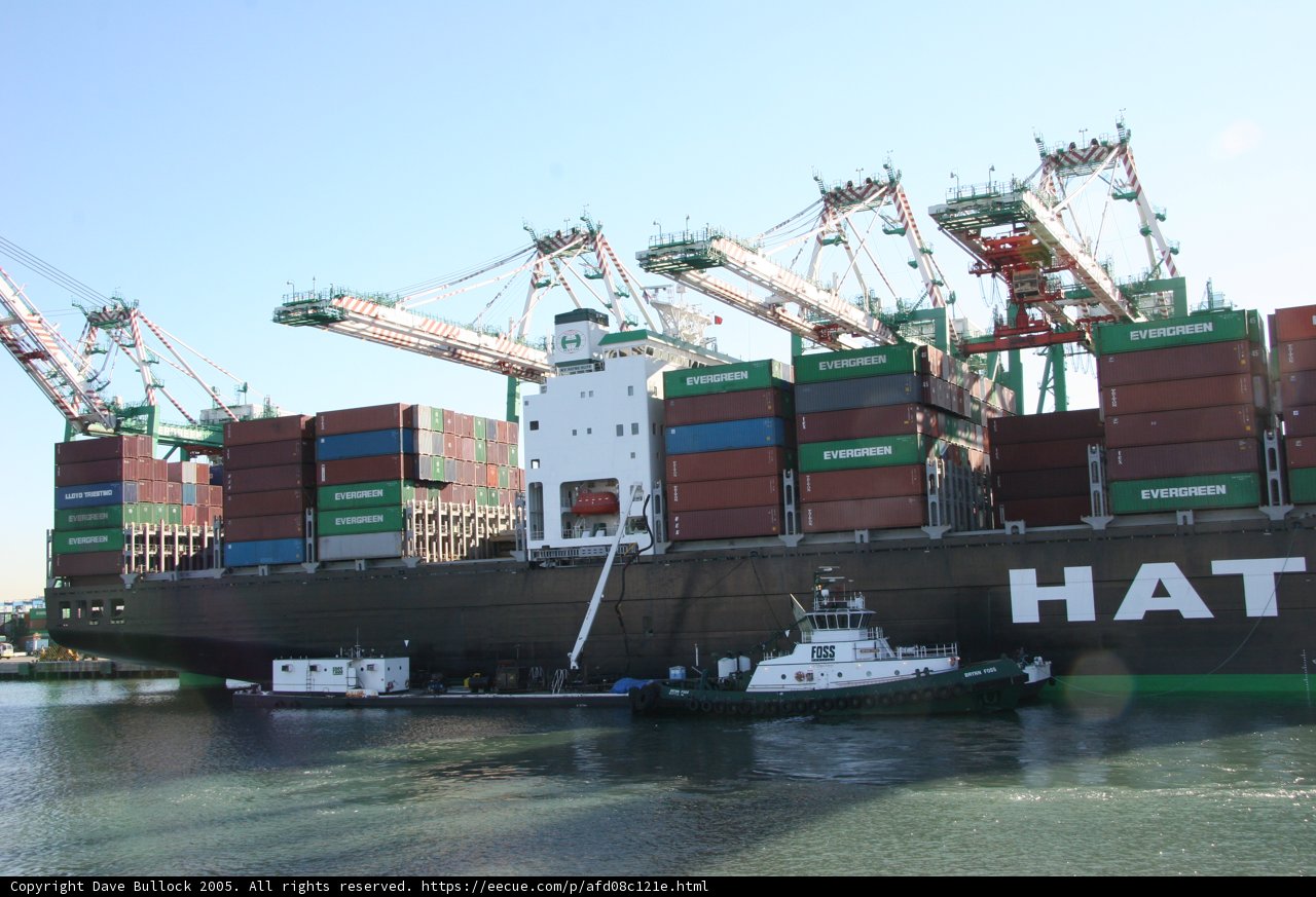 Massive Container Ship at the Port