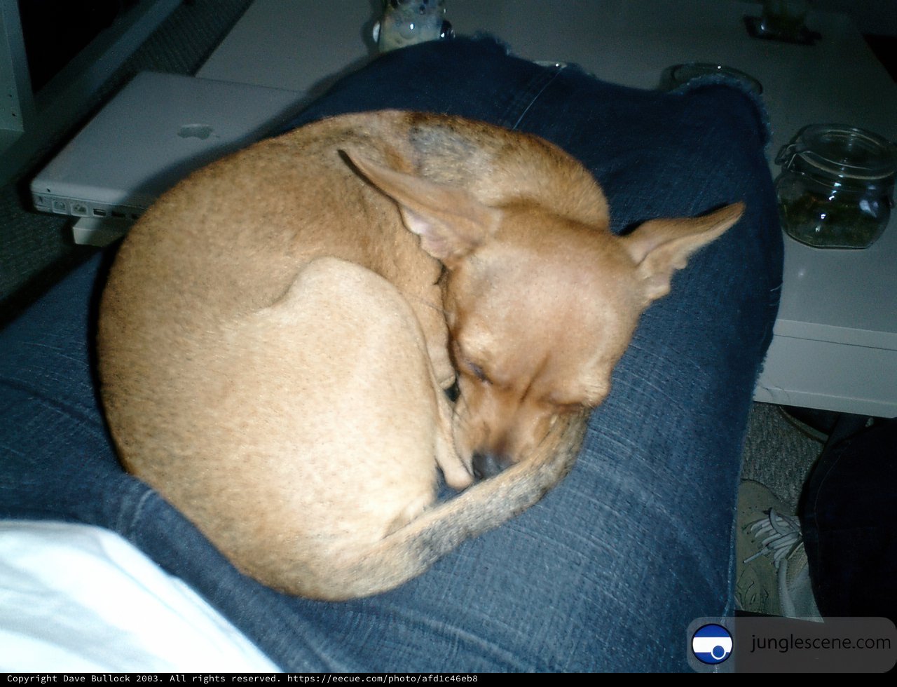 Cozy Cuddle Time