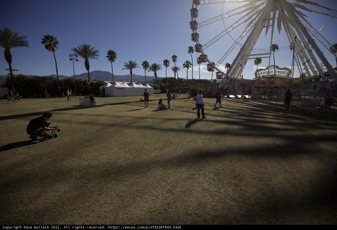 Ferris Wheel Fun at Coachella