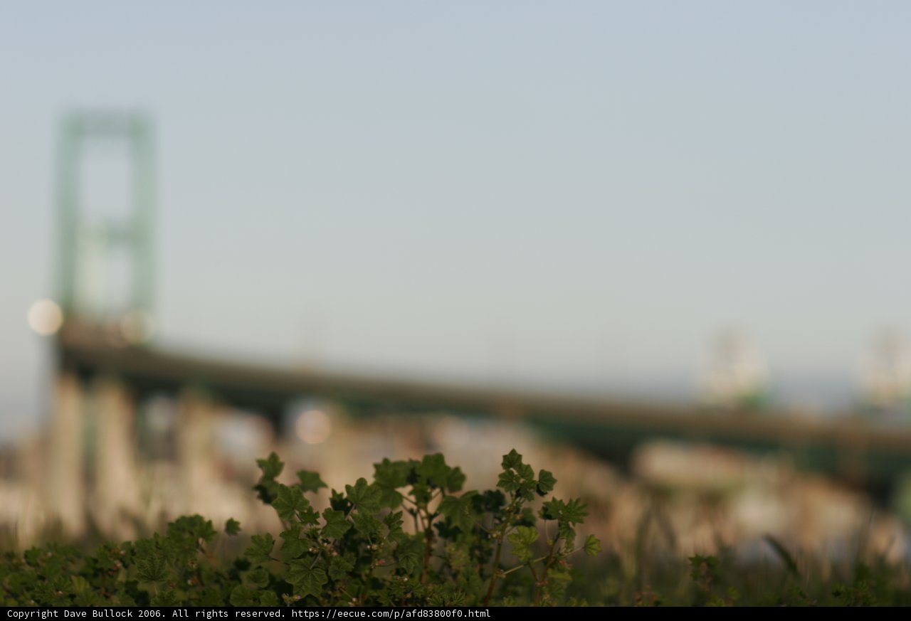 Blurry Bridge amidst Urban Metropolis
