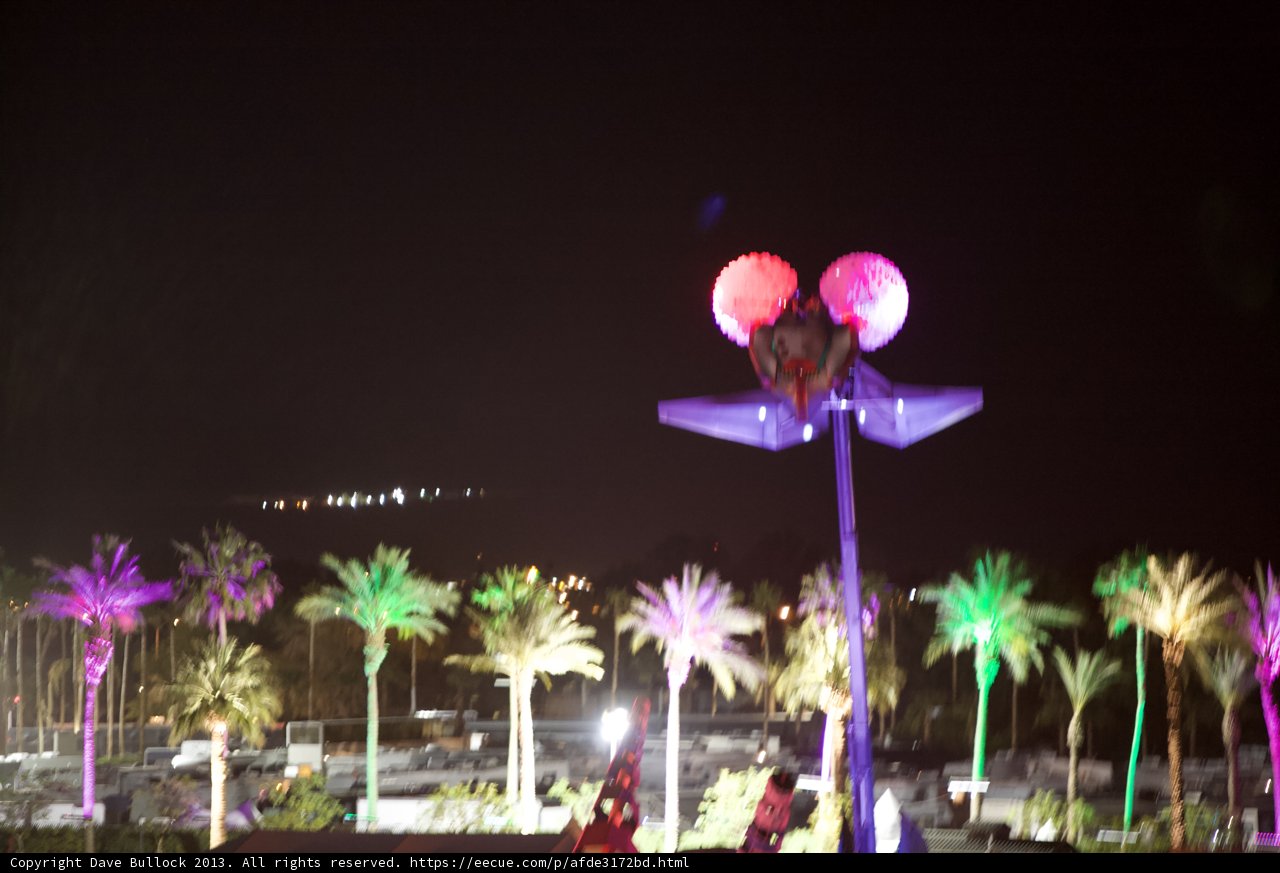 Night Lights with Palm Trees
