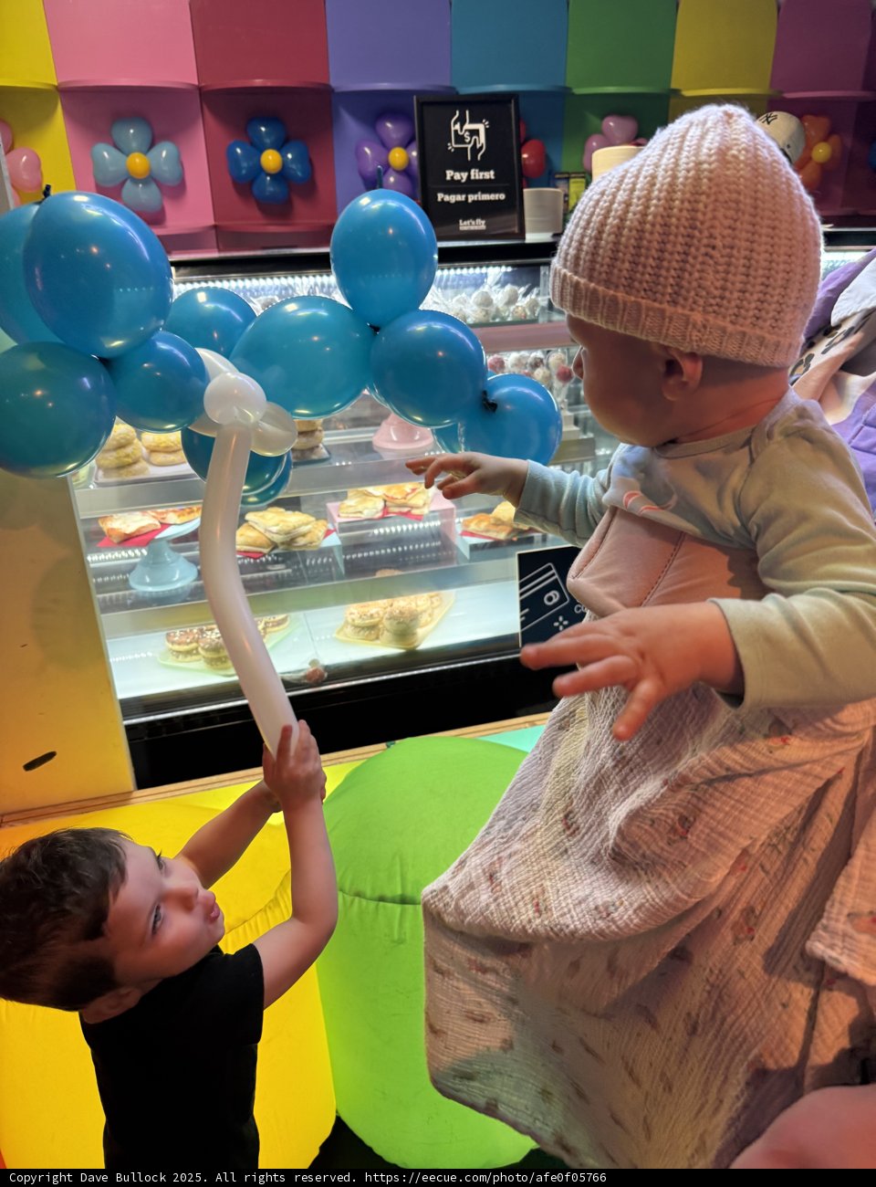 Balloon Adventures at the Palace