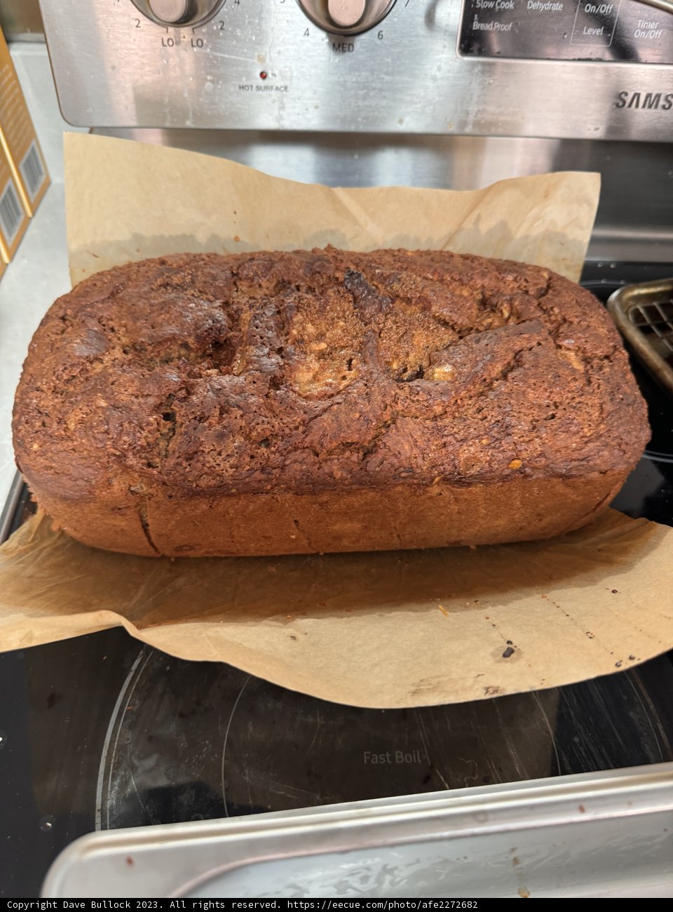 A Thanksgiving Staple: Freshly Baked Loaf