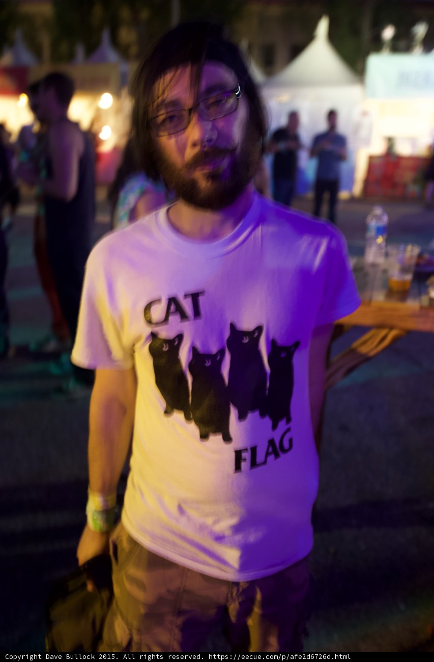 Cat Flag Shirt Bearded Man Glasses