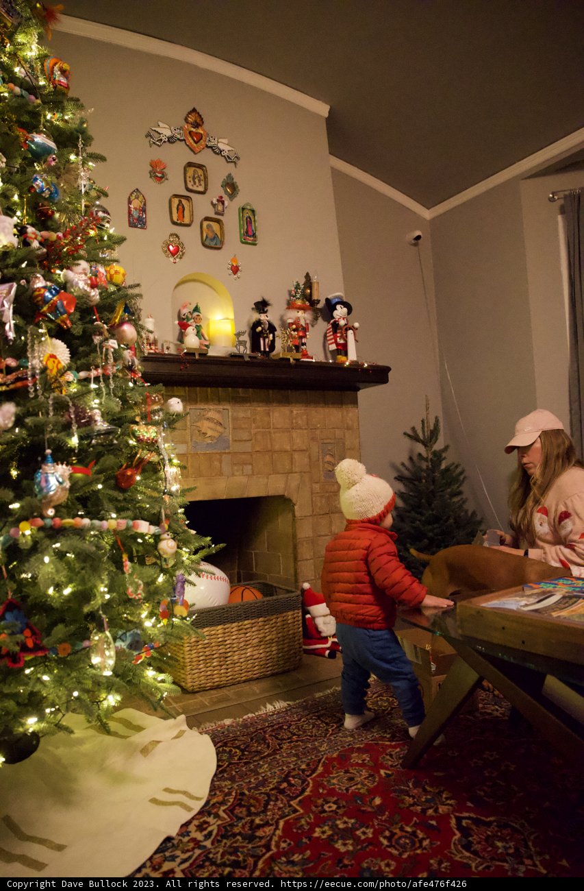 Christmas Sparkle: Wesley's Holiday Delight