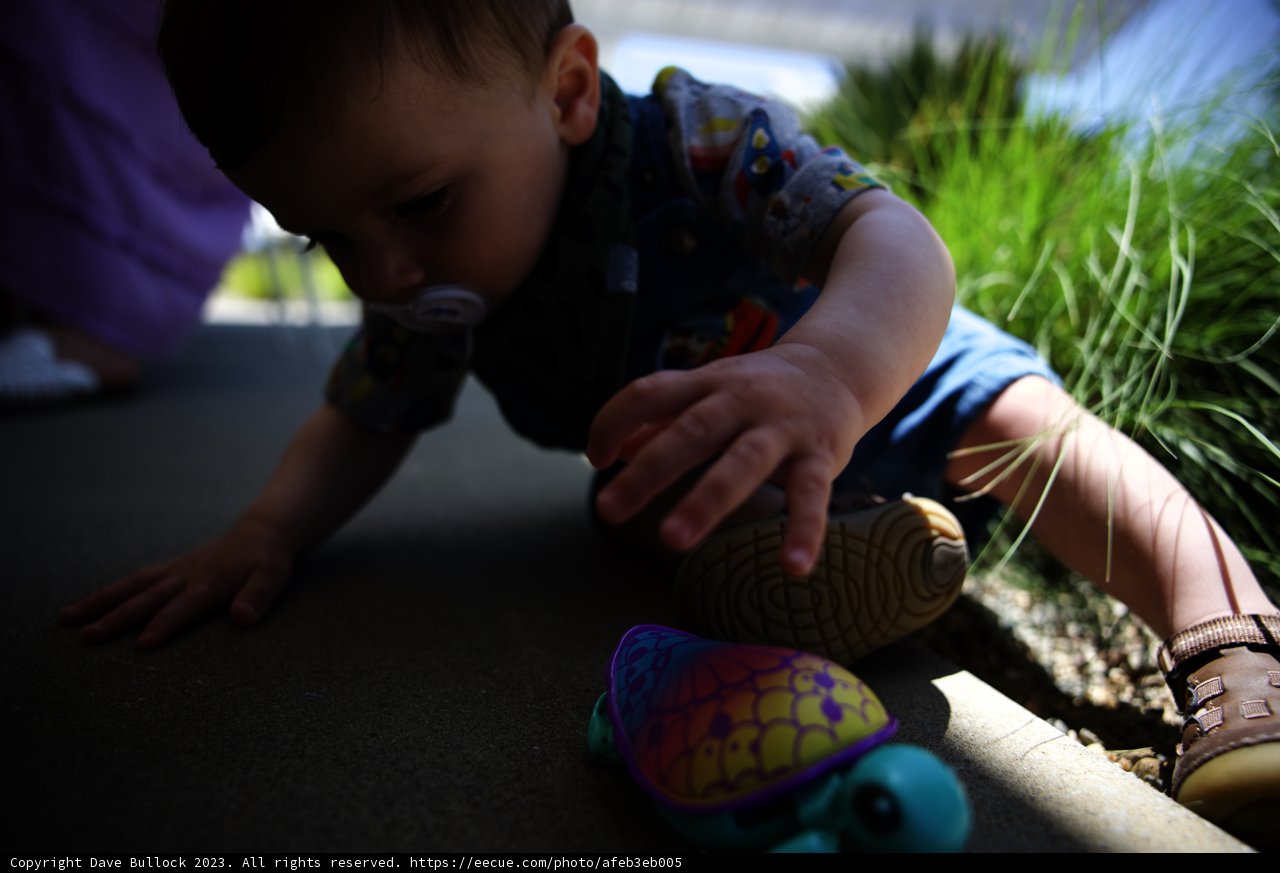 Baby's Playtime with a Toy Turtle