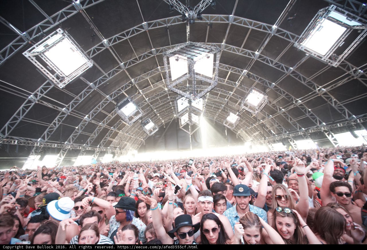 Music Festival Madness