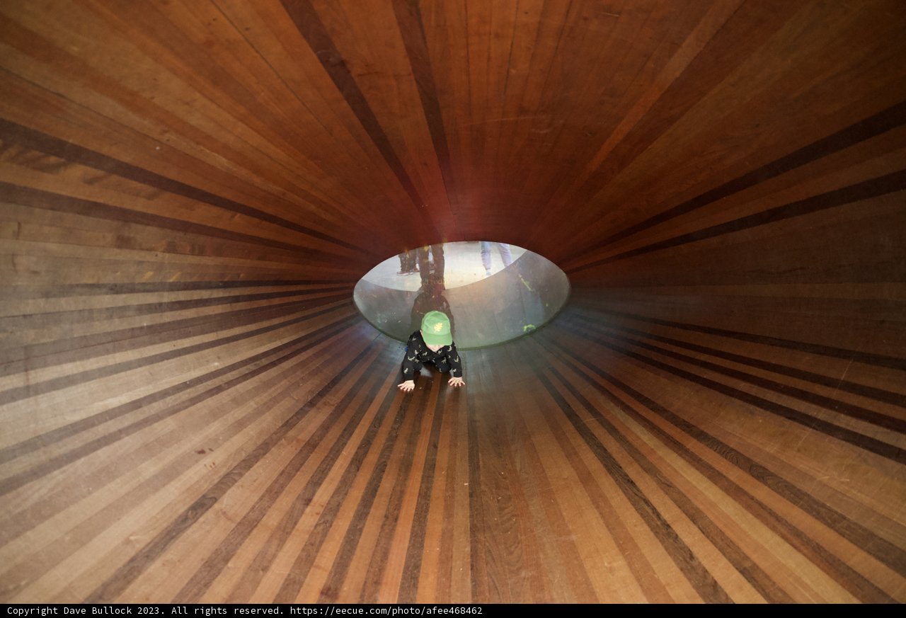 Illuminated Elegance Amidst the Hardwood