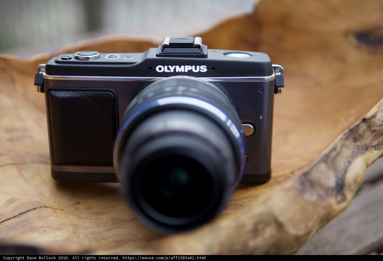 Olympus Digital Camera with Wood Strap