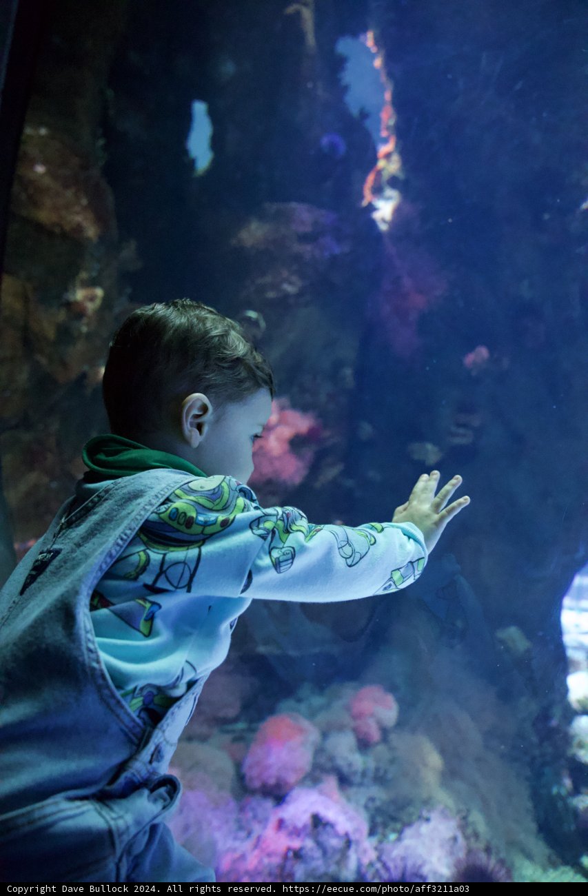 Fascination Underwater