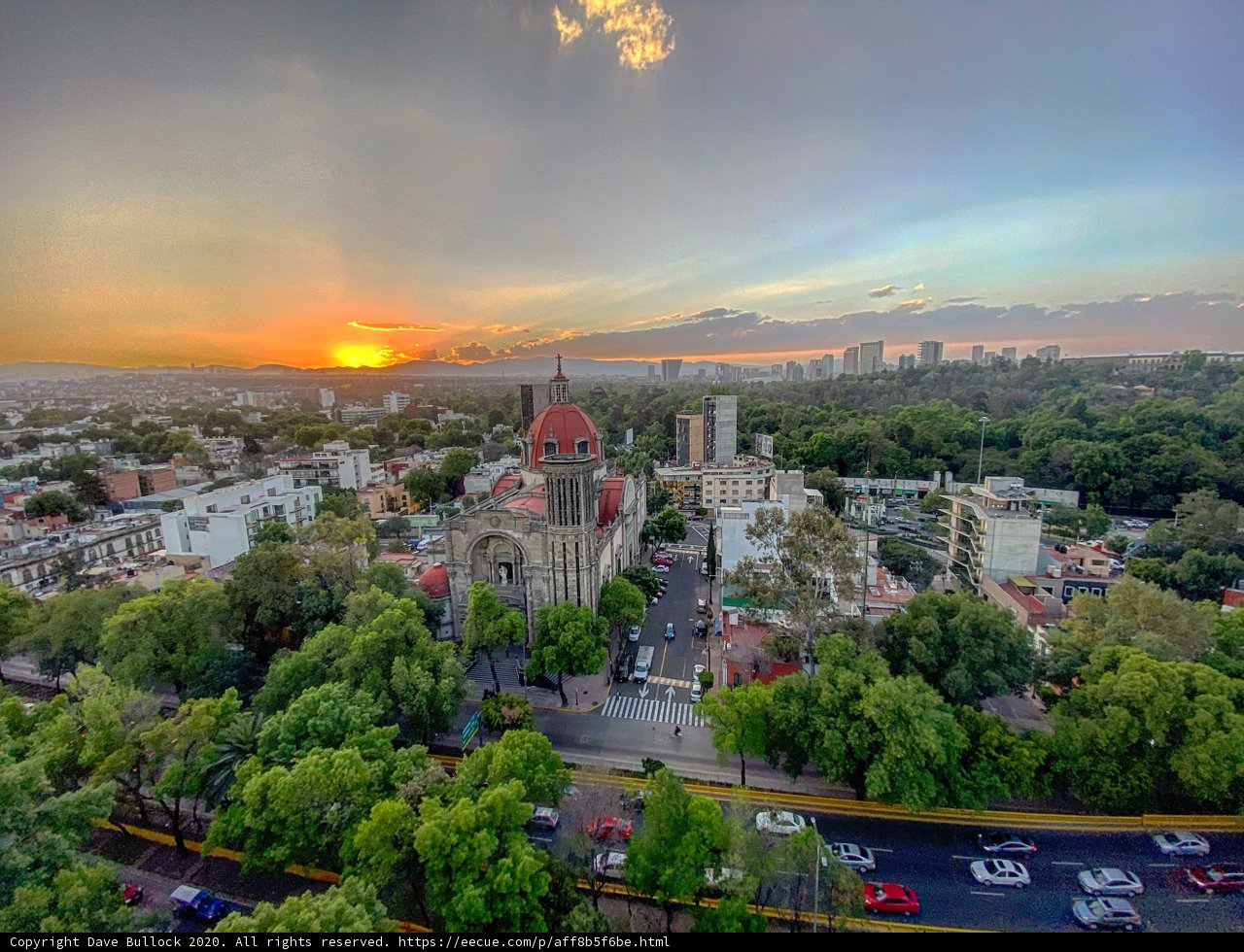 Twilight in the Urban Jungle