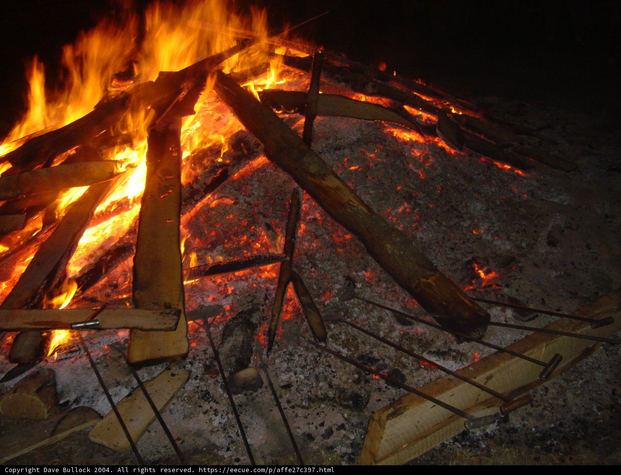 Blaze in the Night