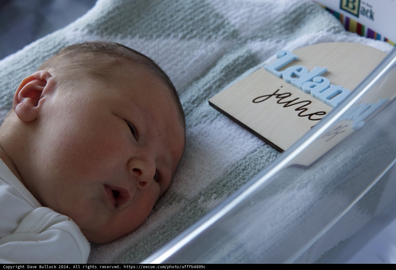 Welcome to the World, Leland