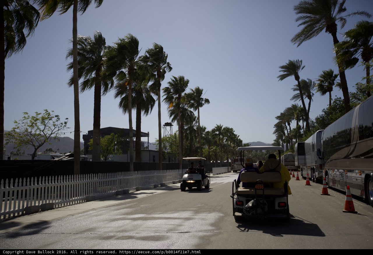 Driving Down Palm Tree Road