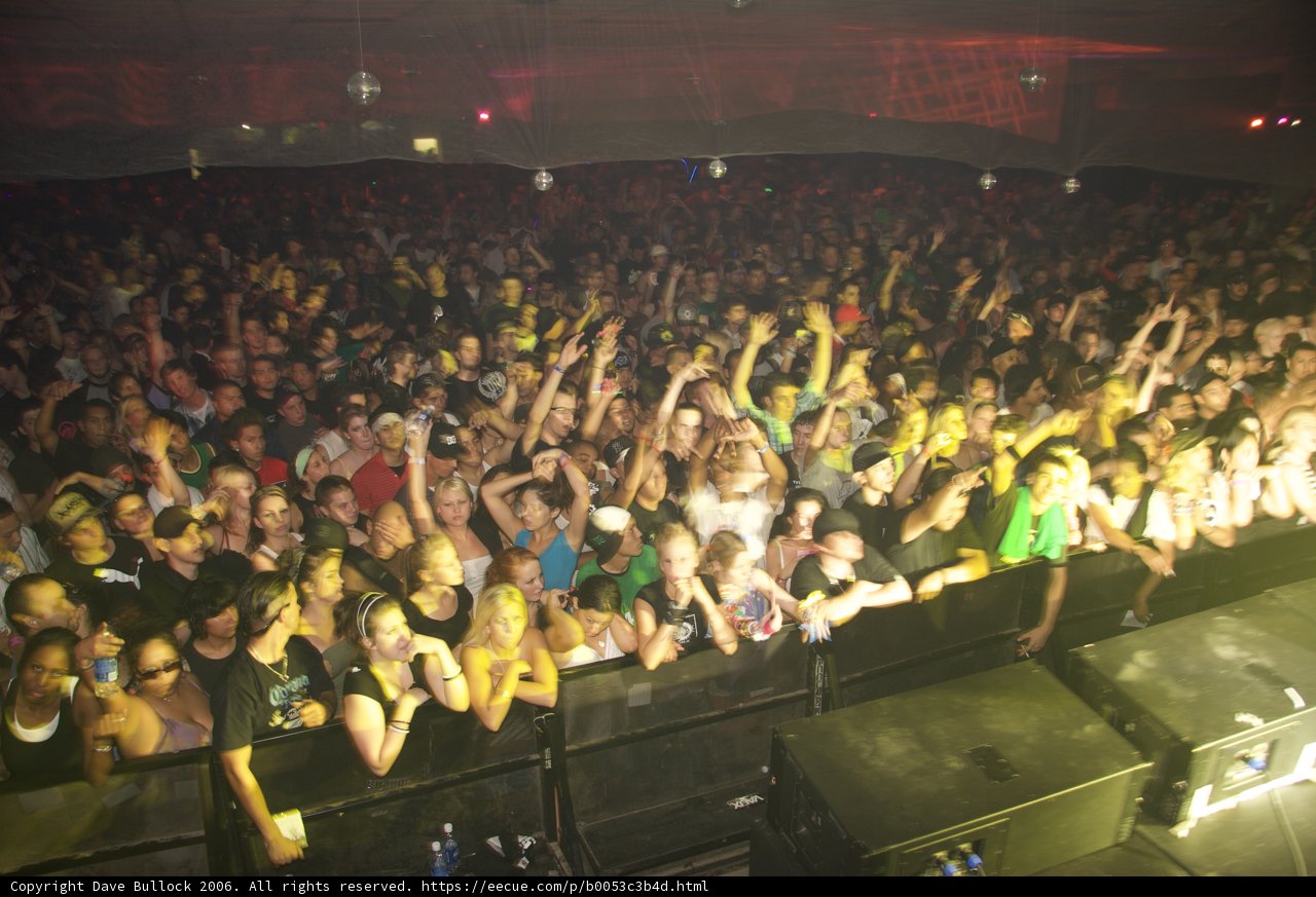 Rave Nation: The Electric Crowd
