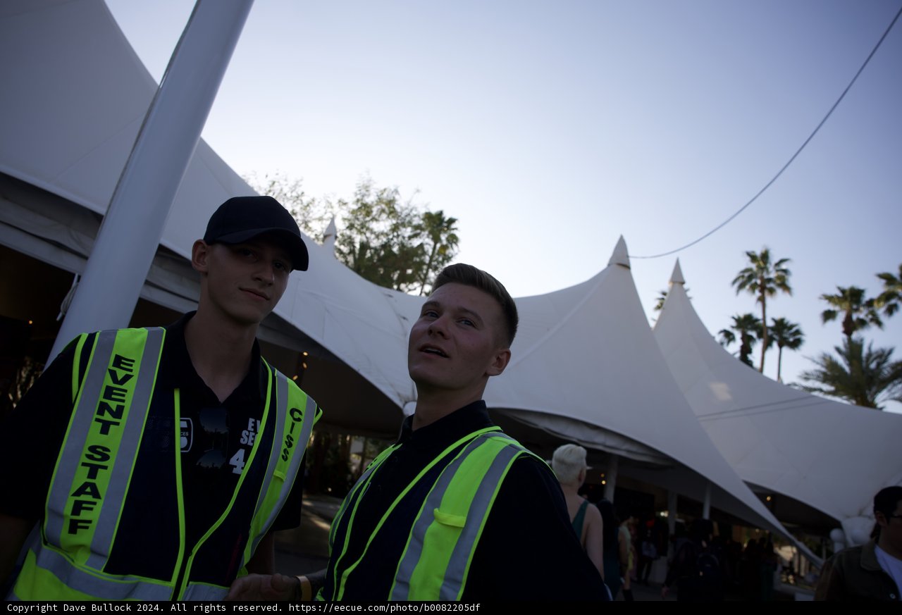 Behind the Scenes: The Faces of Festival Security