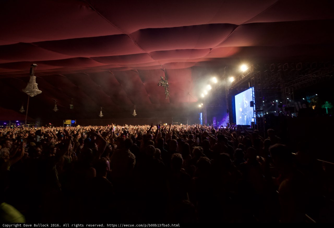 Rocking with the Crowd