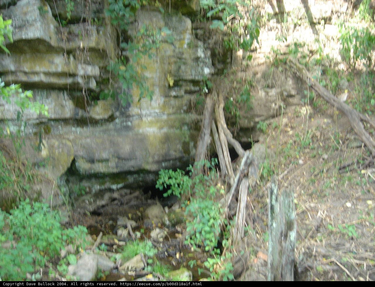 Hidden Den in the Wilderness