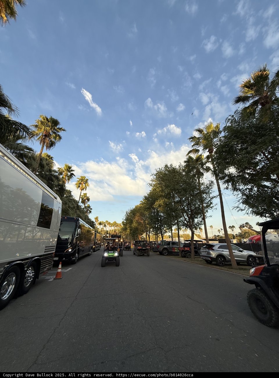 Sunlit Avenue at Empire Polo Club