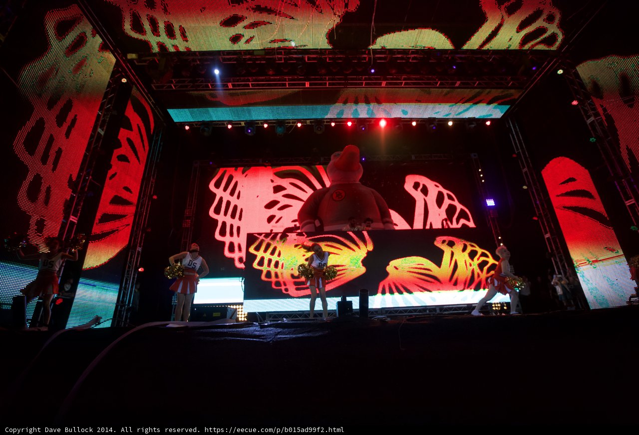 Man on Stage at Coachella