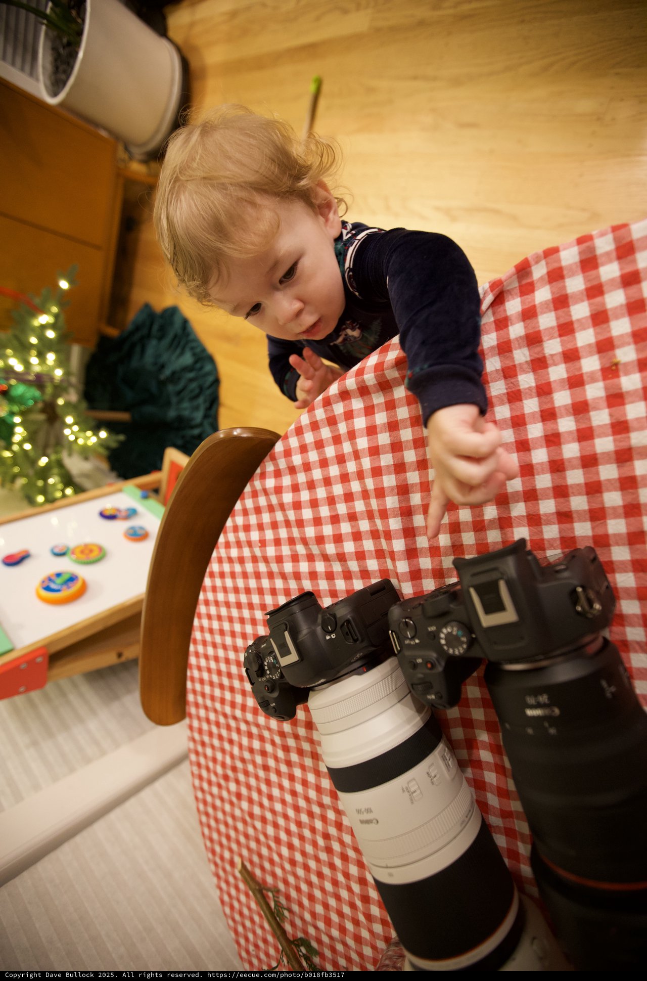 Young Child Exploring Professional Camera Equipment