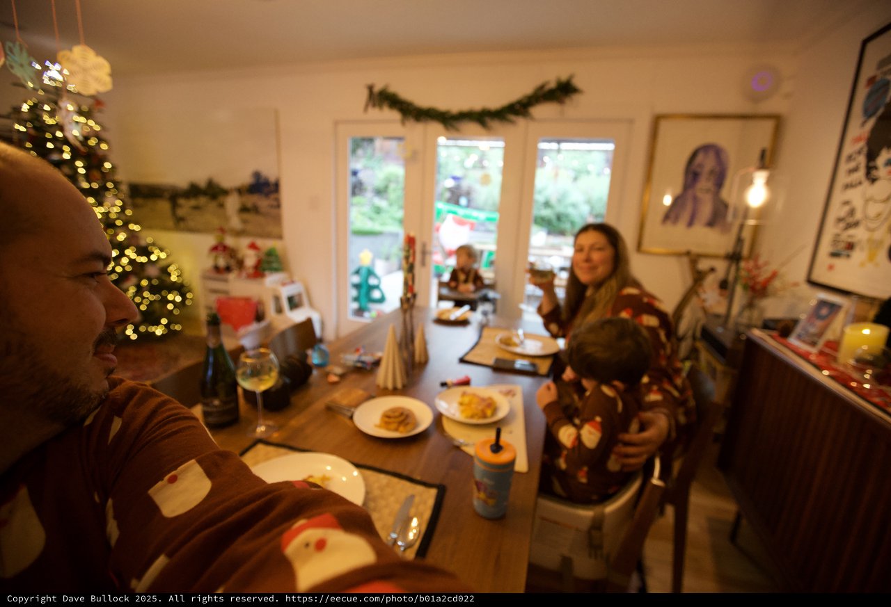 Cozy Christmas Dinner at Home with Family