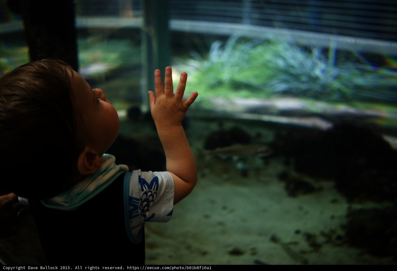 A Young Explorer's Fascination