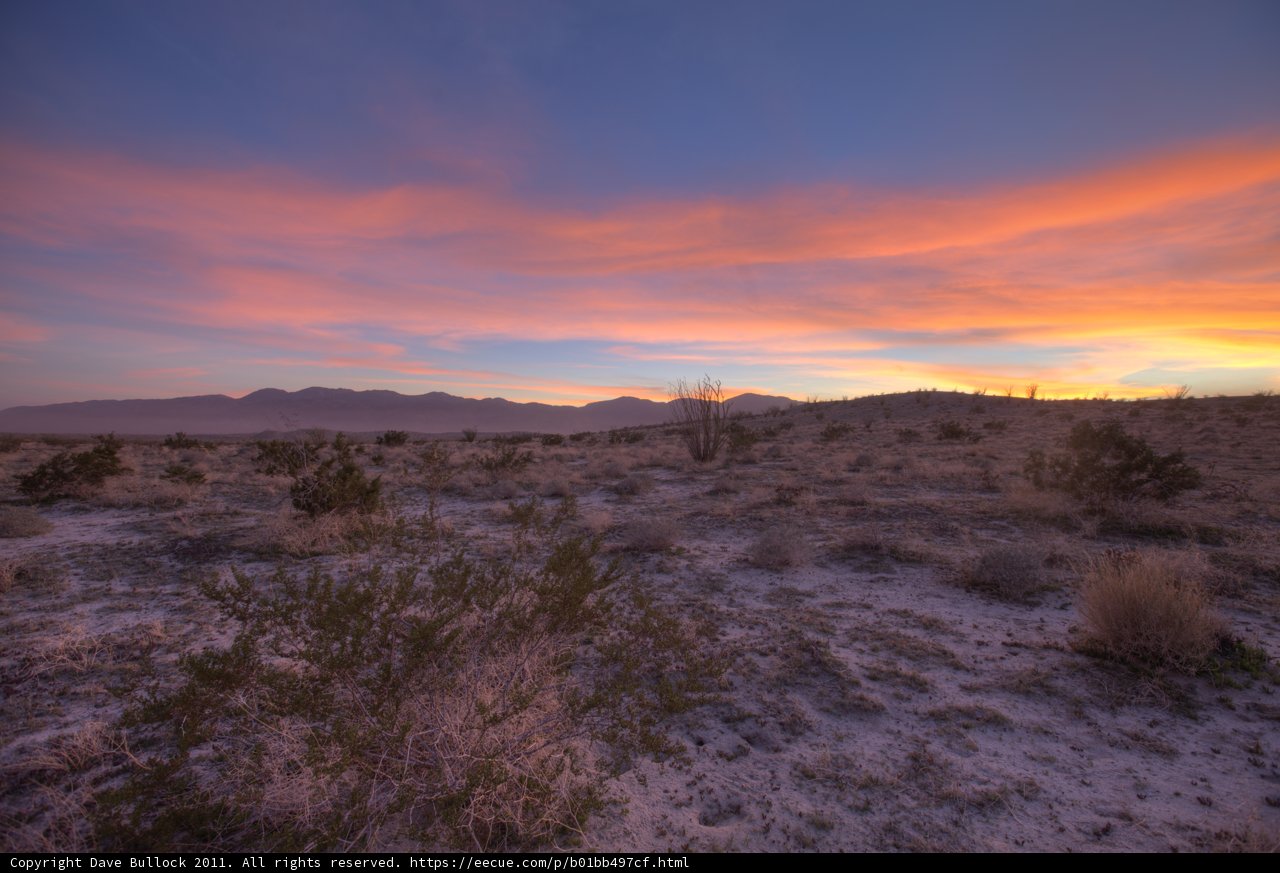 Desert Dreamscape