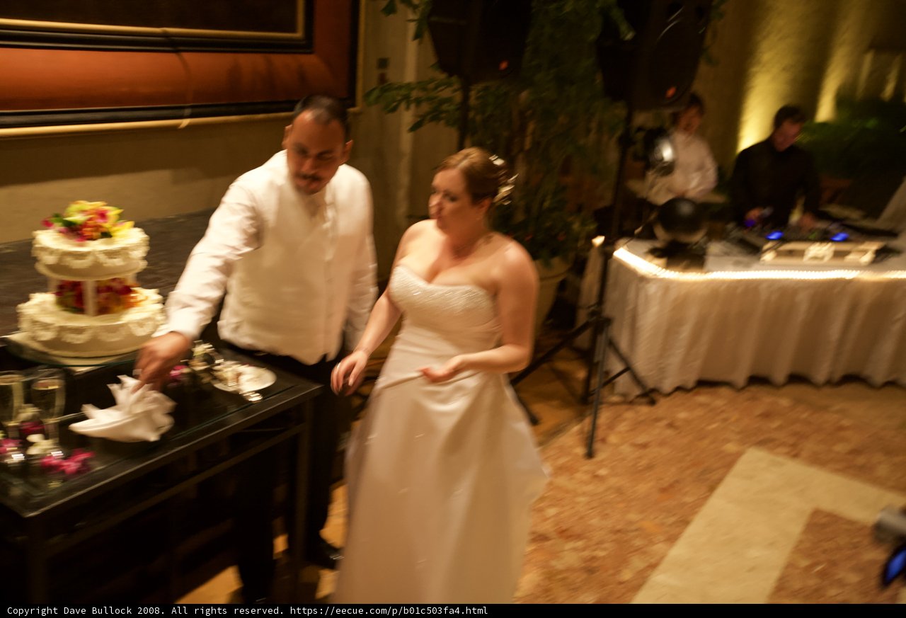 Cutting the Wedding Cake