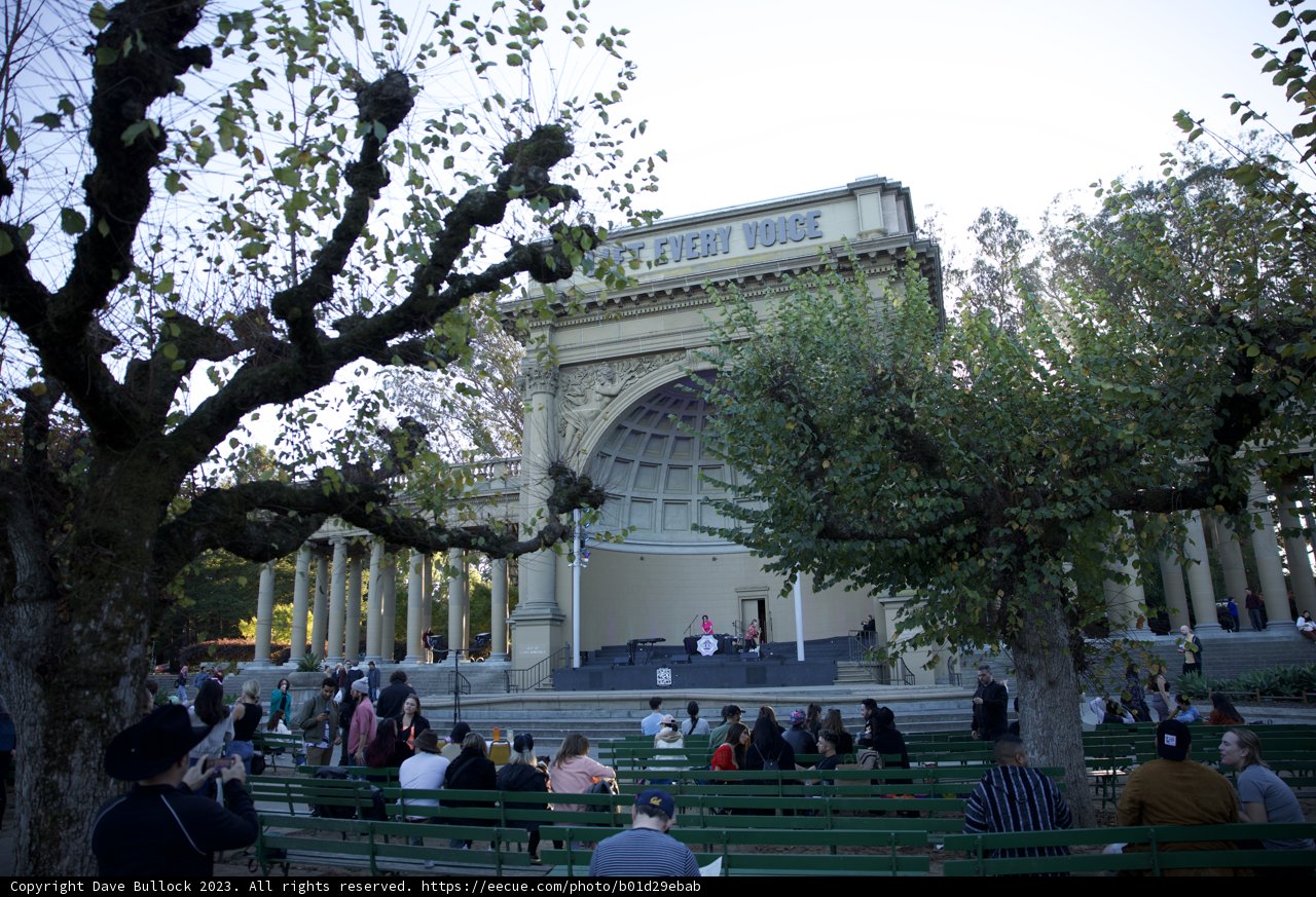 Nature's Grandeur at the November Academy of Sciences