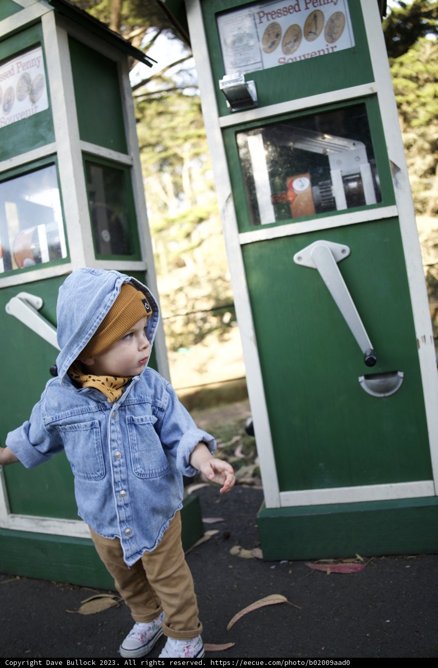 Urban Adventure: A Day at the SF Zoo