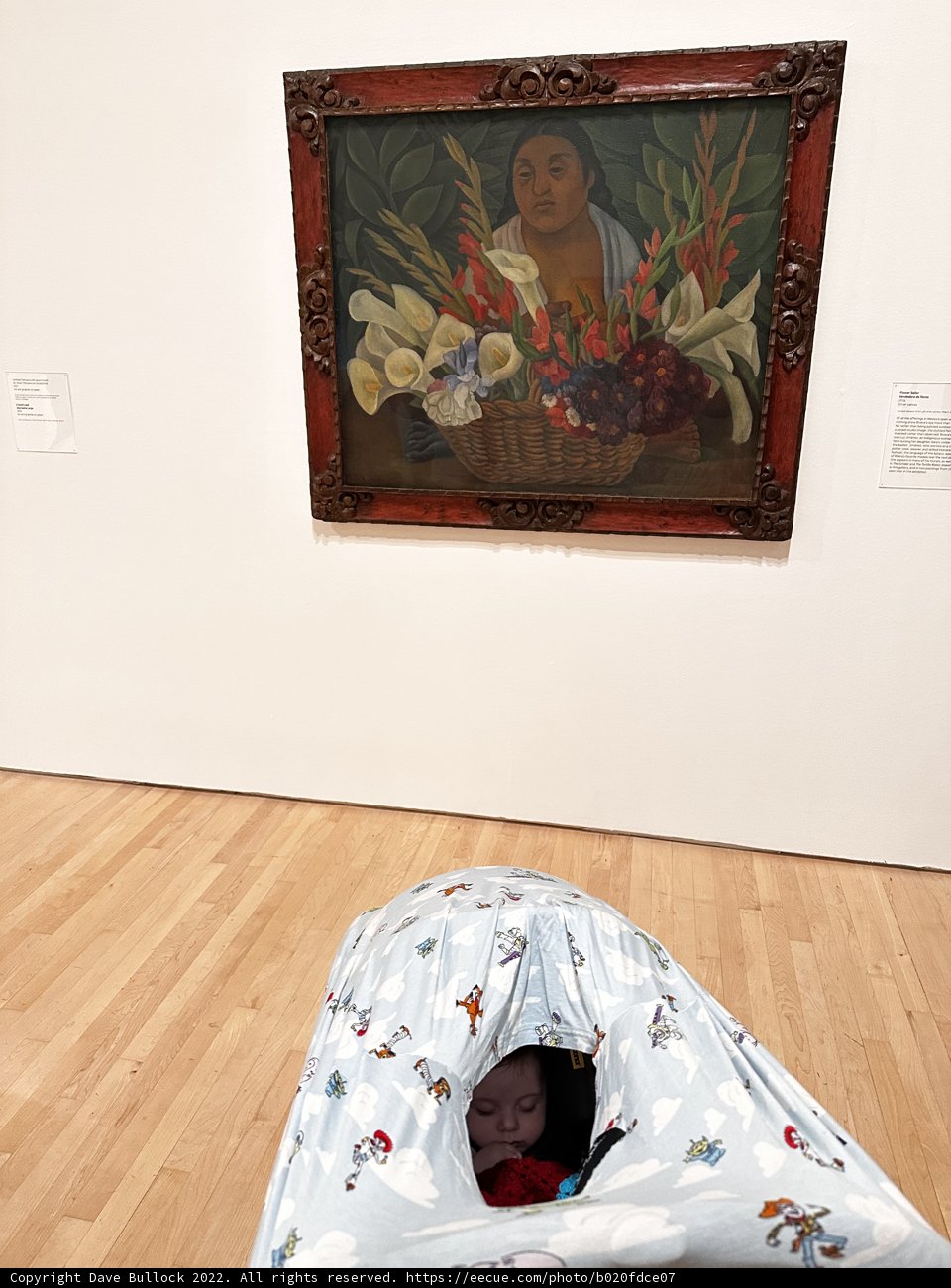 Dreams in Art