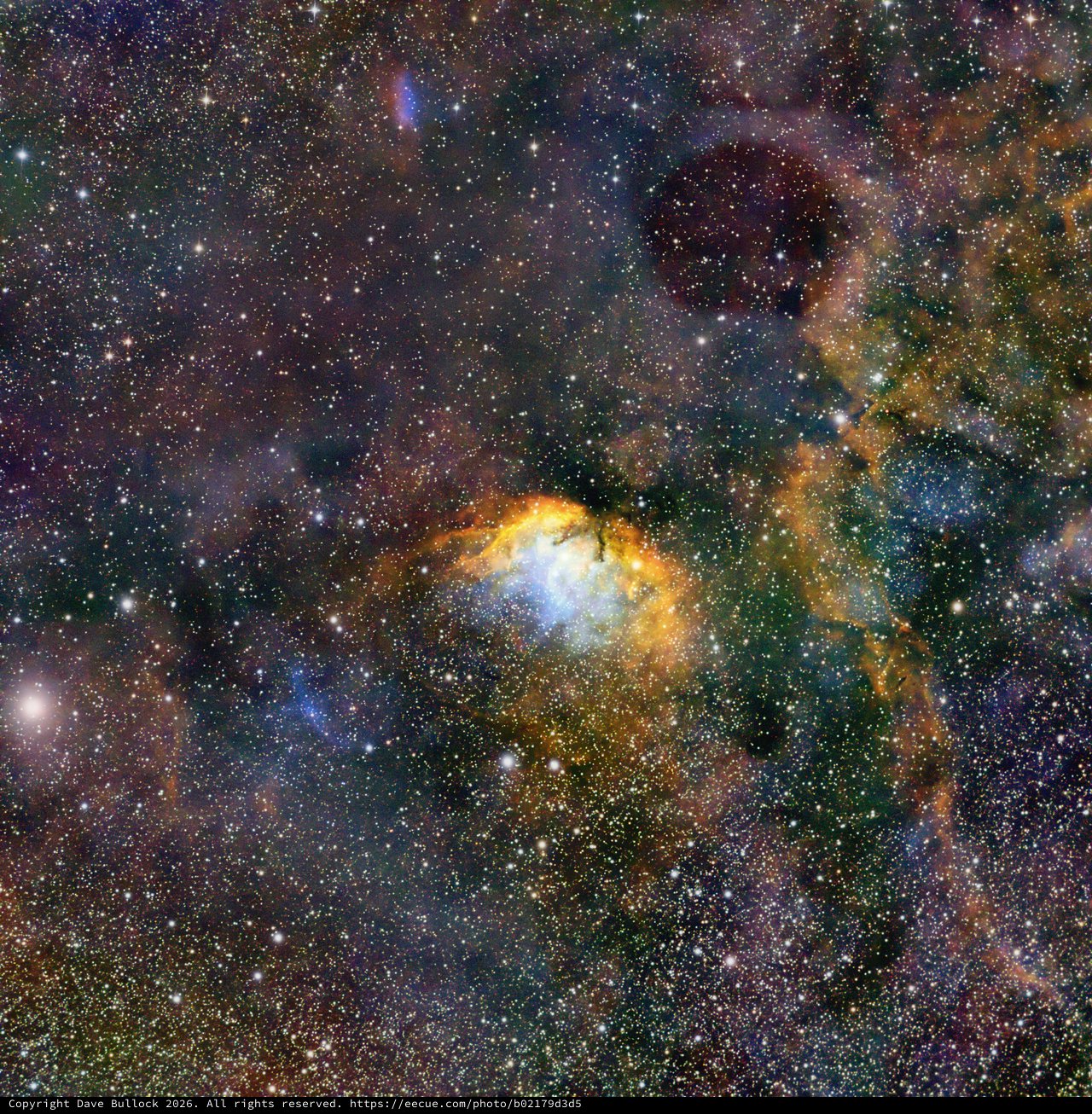 Tulip Nebula Sh2-101 in Hubble Palette Narrowband