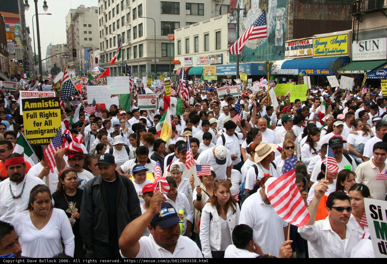 American Flags and Unity