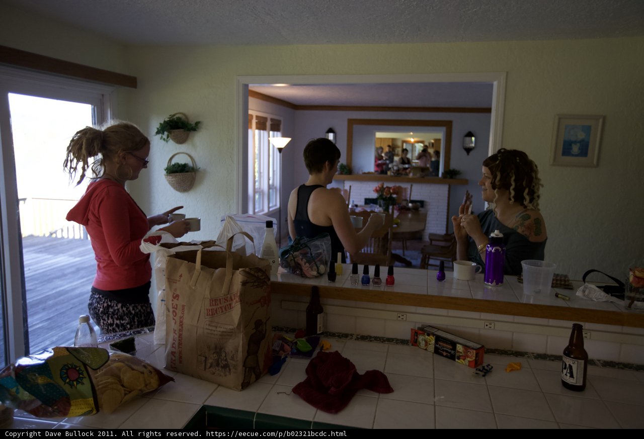 Woman with Bag in Kitchen