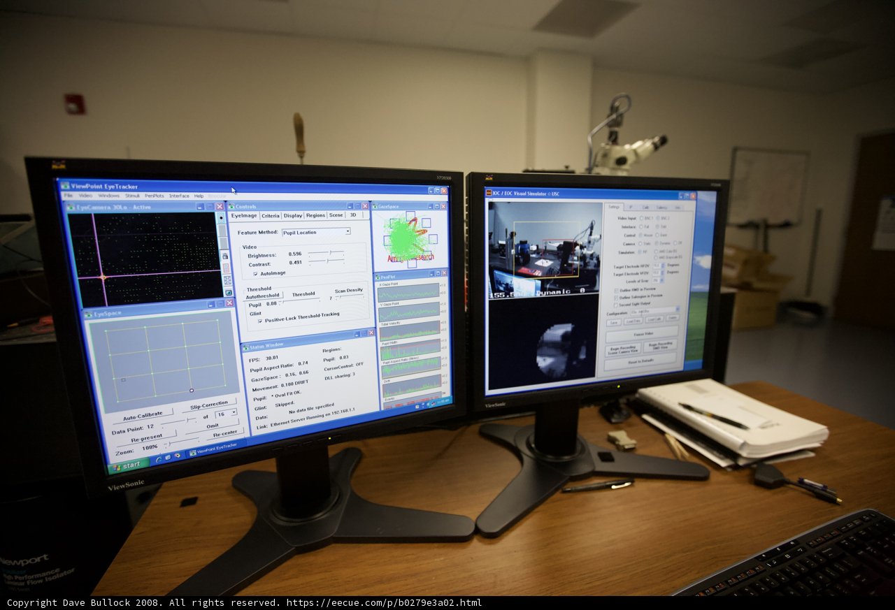 Dual Monitors Displaying Person's Images
