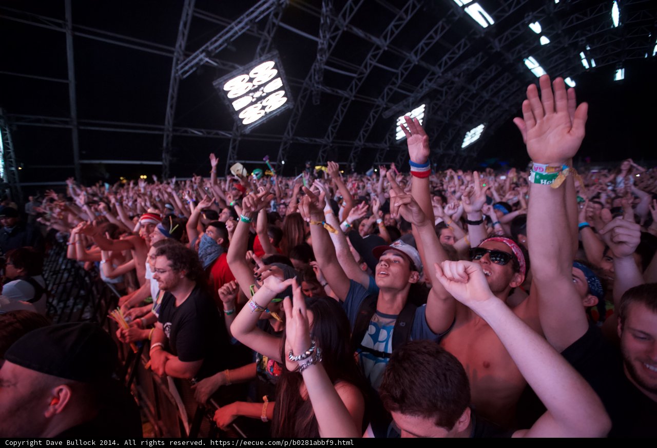 Electric Crowd at Coachella