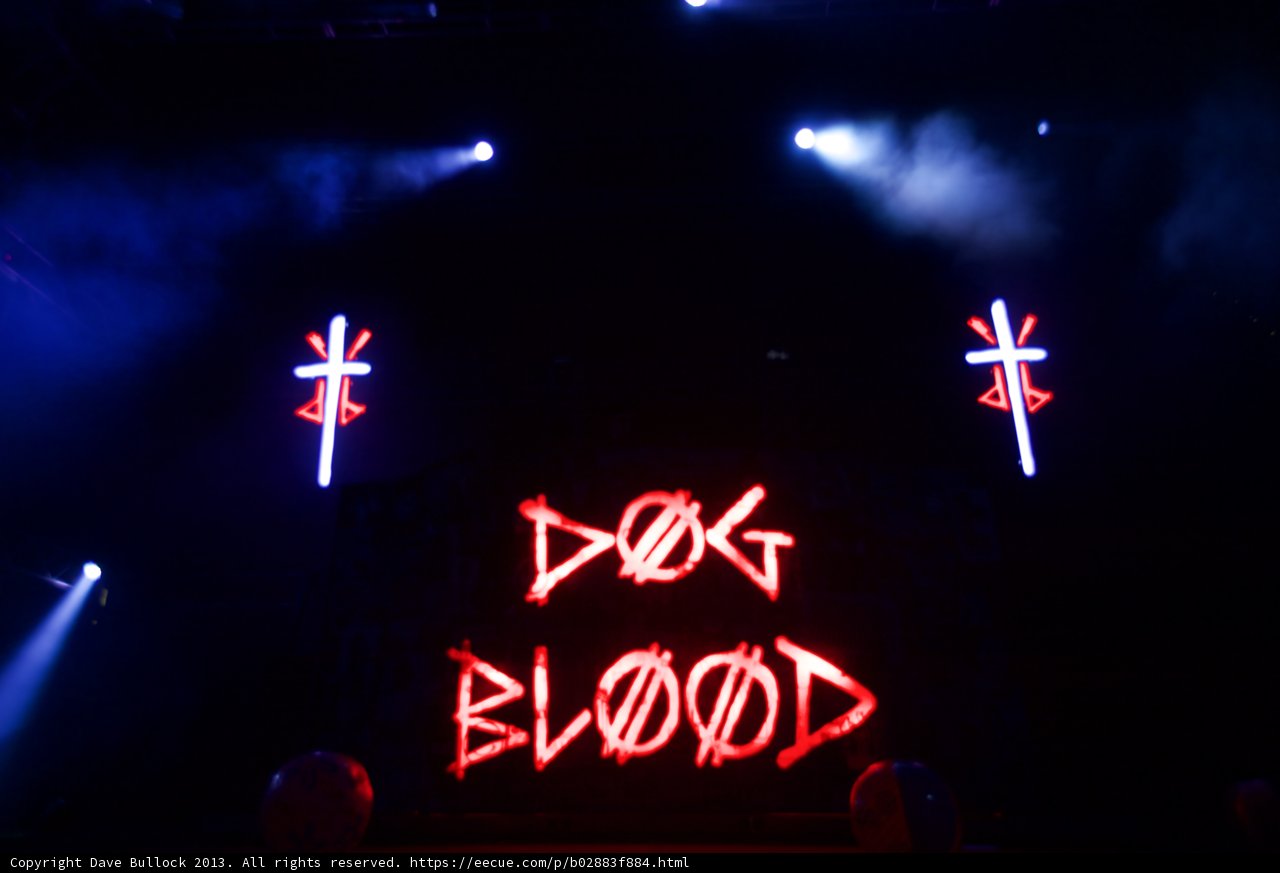 Spotlight on the Dog Blood Show