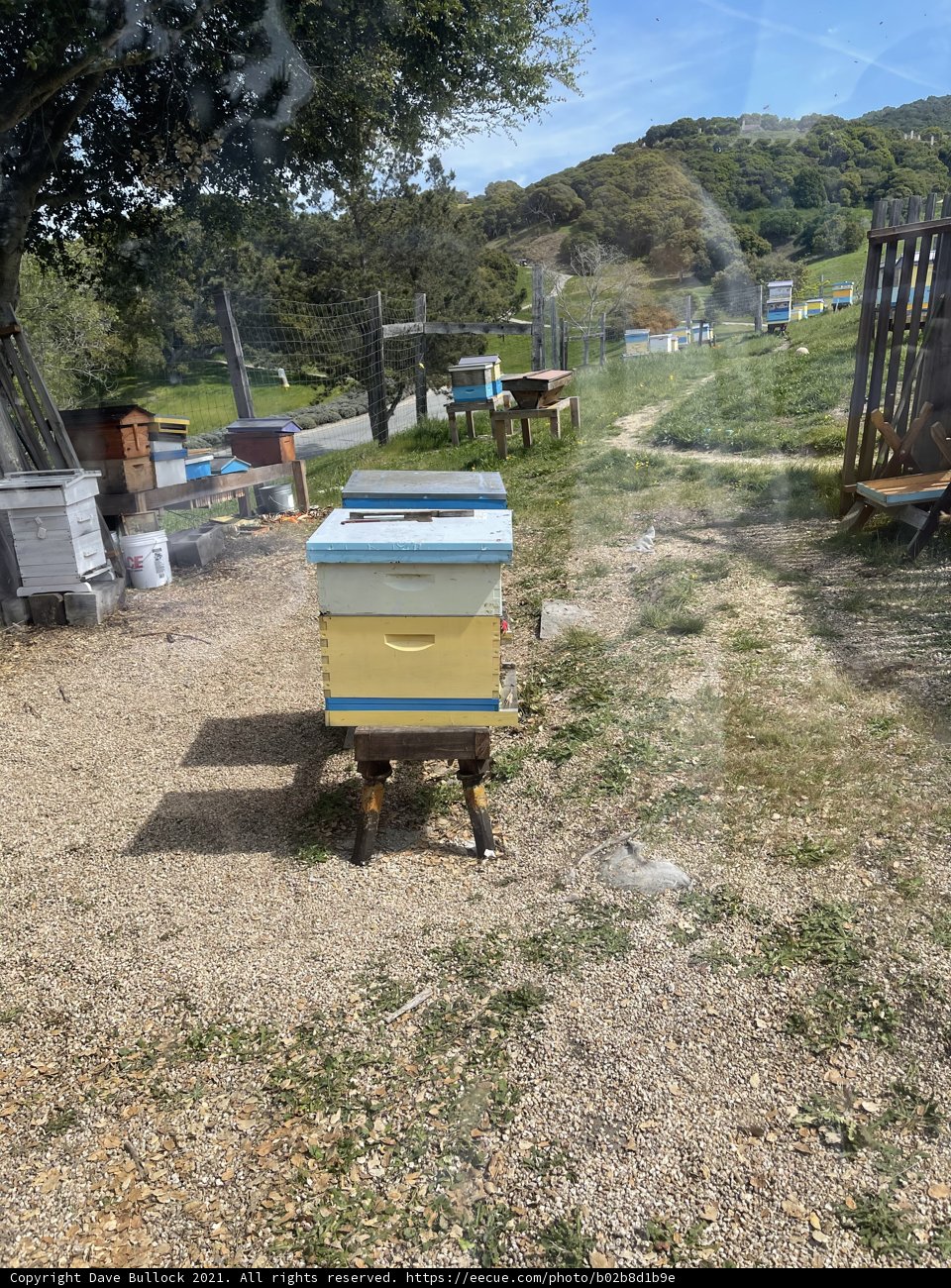 Hidden Apiary on a Country Road