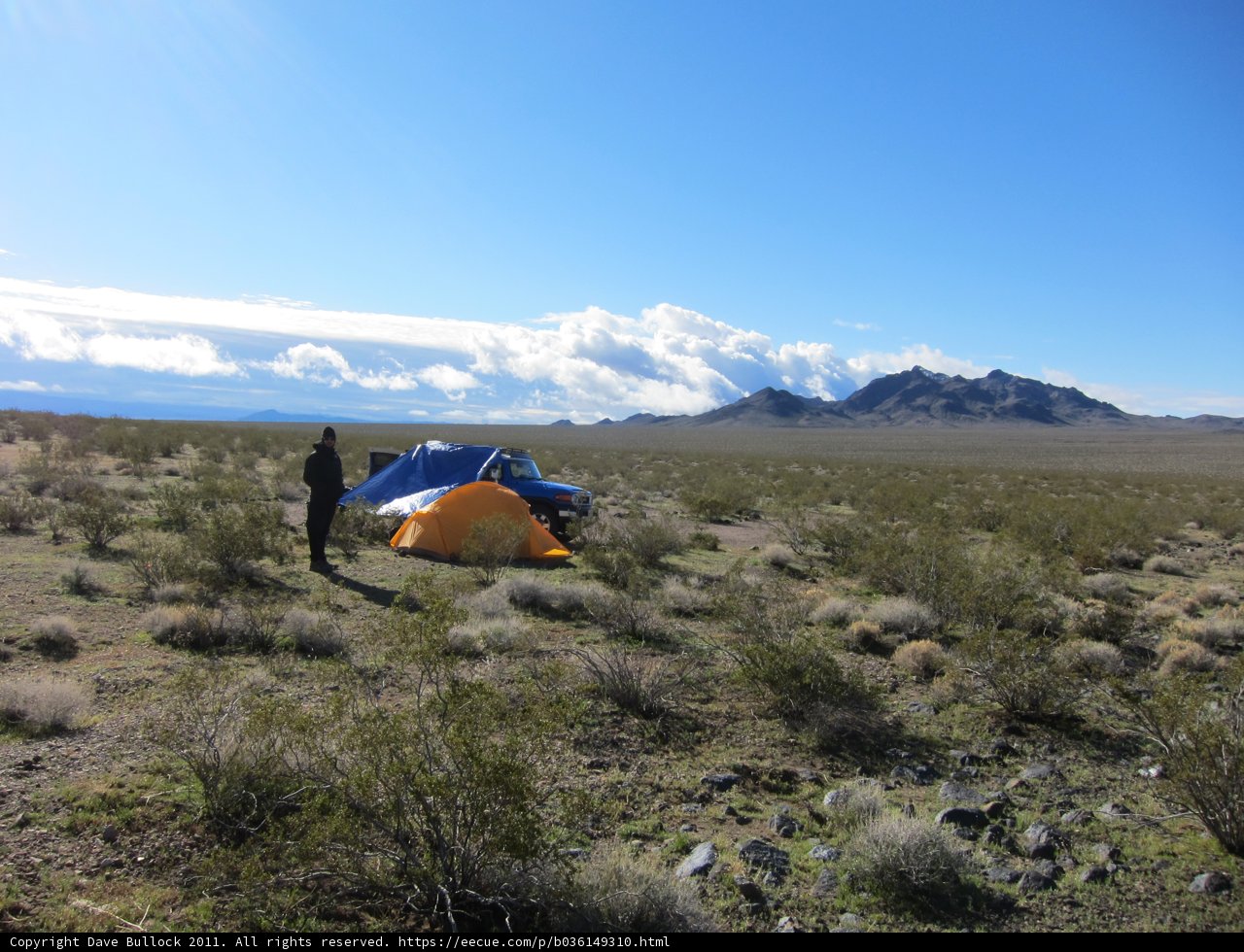 Desert Camping Adventure