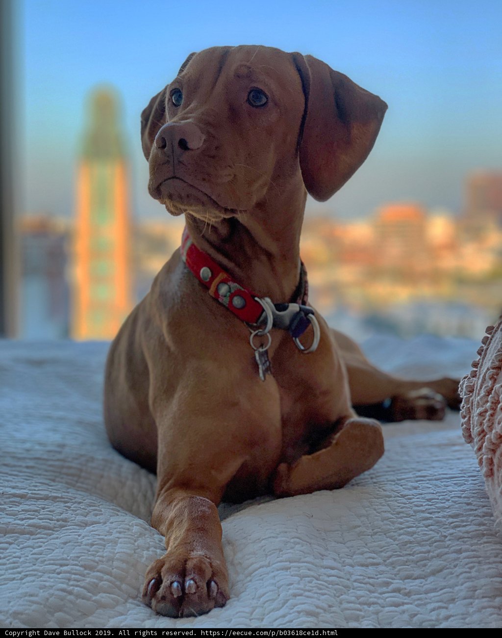 Resting in the LA sun