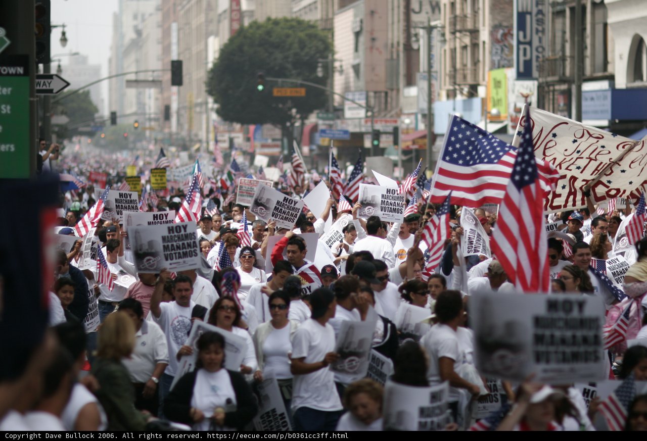 Patriotic Protest Parade