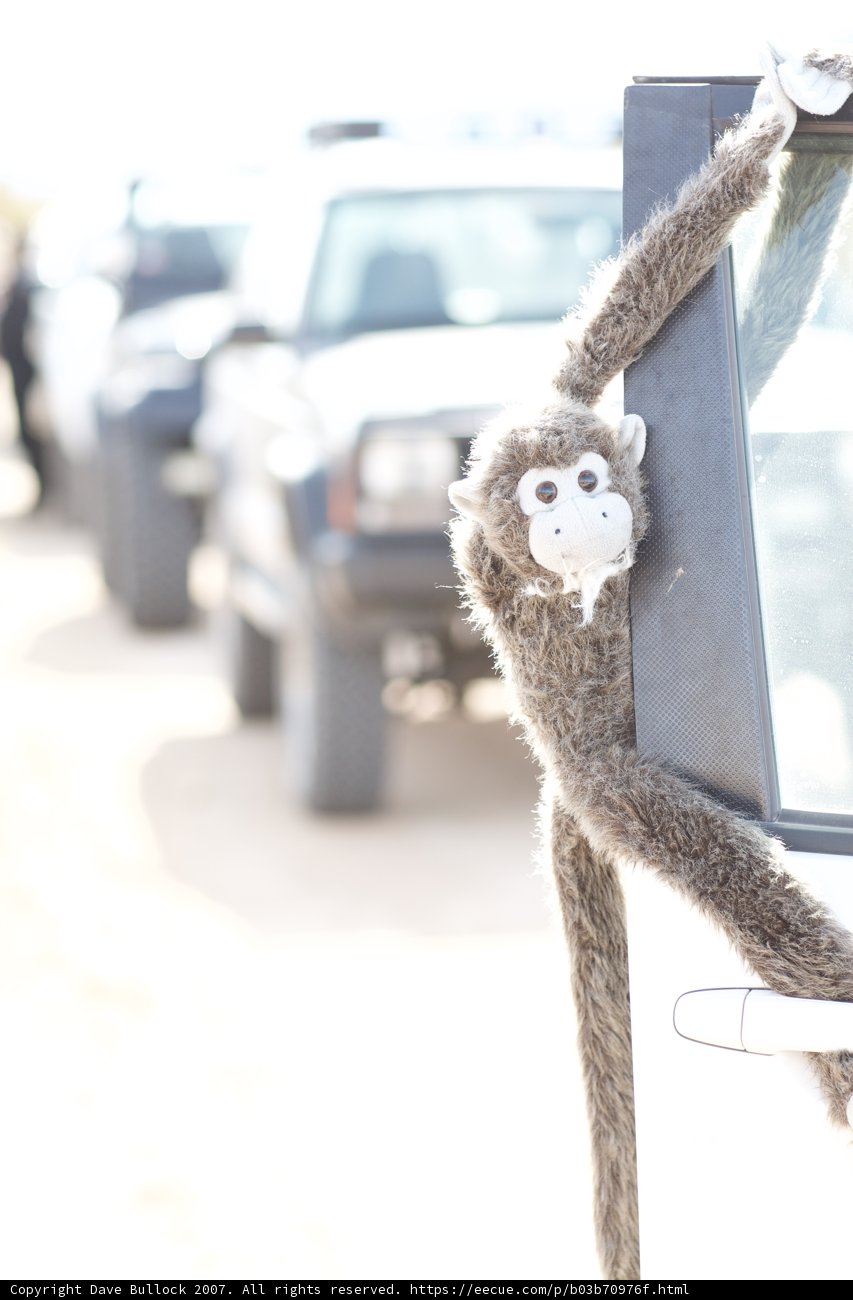 Monkey Joyride