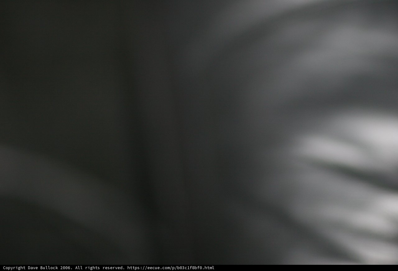 Leaf in Focus