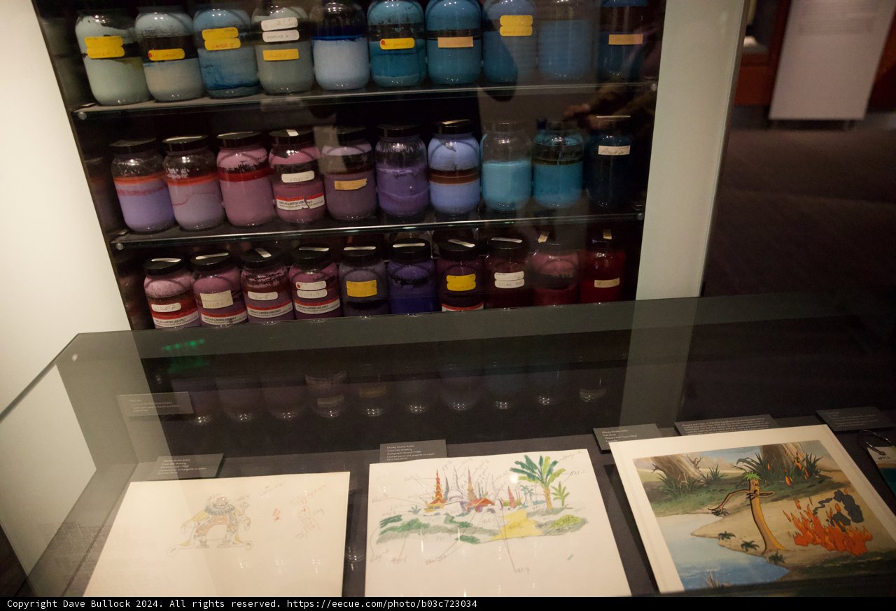 Colorful Array in the Museum's Showcase