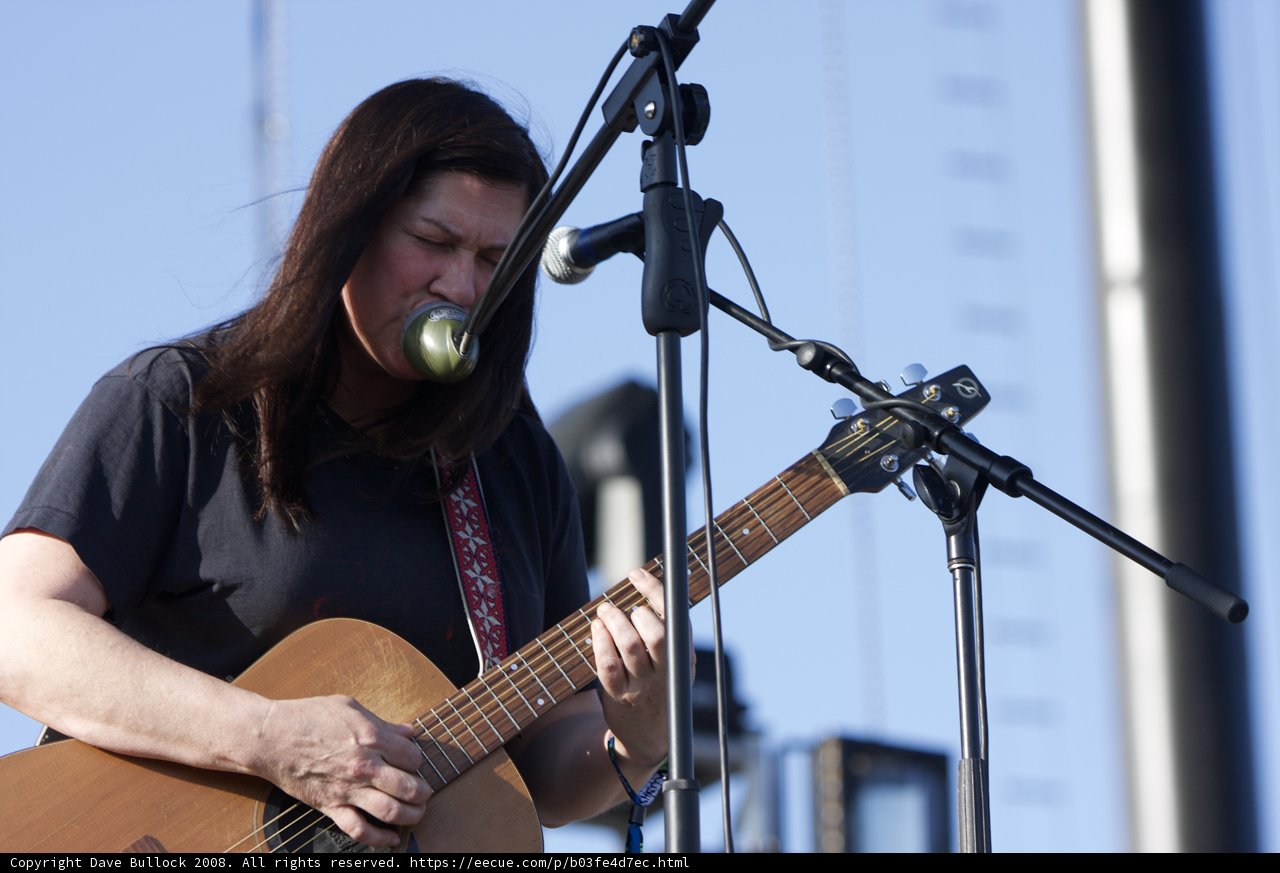 Strummin' Under the Coachella Sky