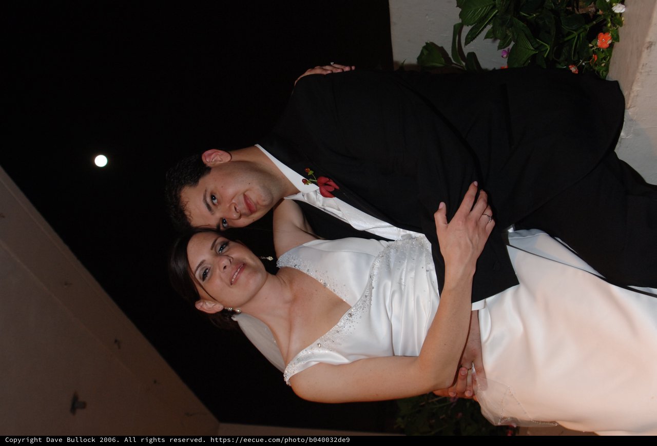 Newlyweds Share Tender Moment at Wedding Reception