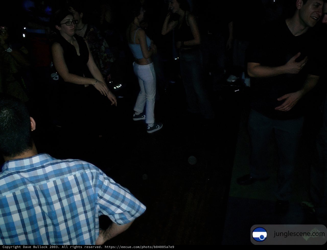 Nightclub Crowd