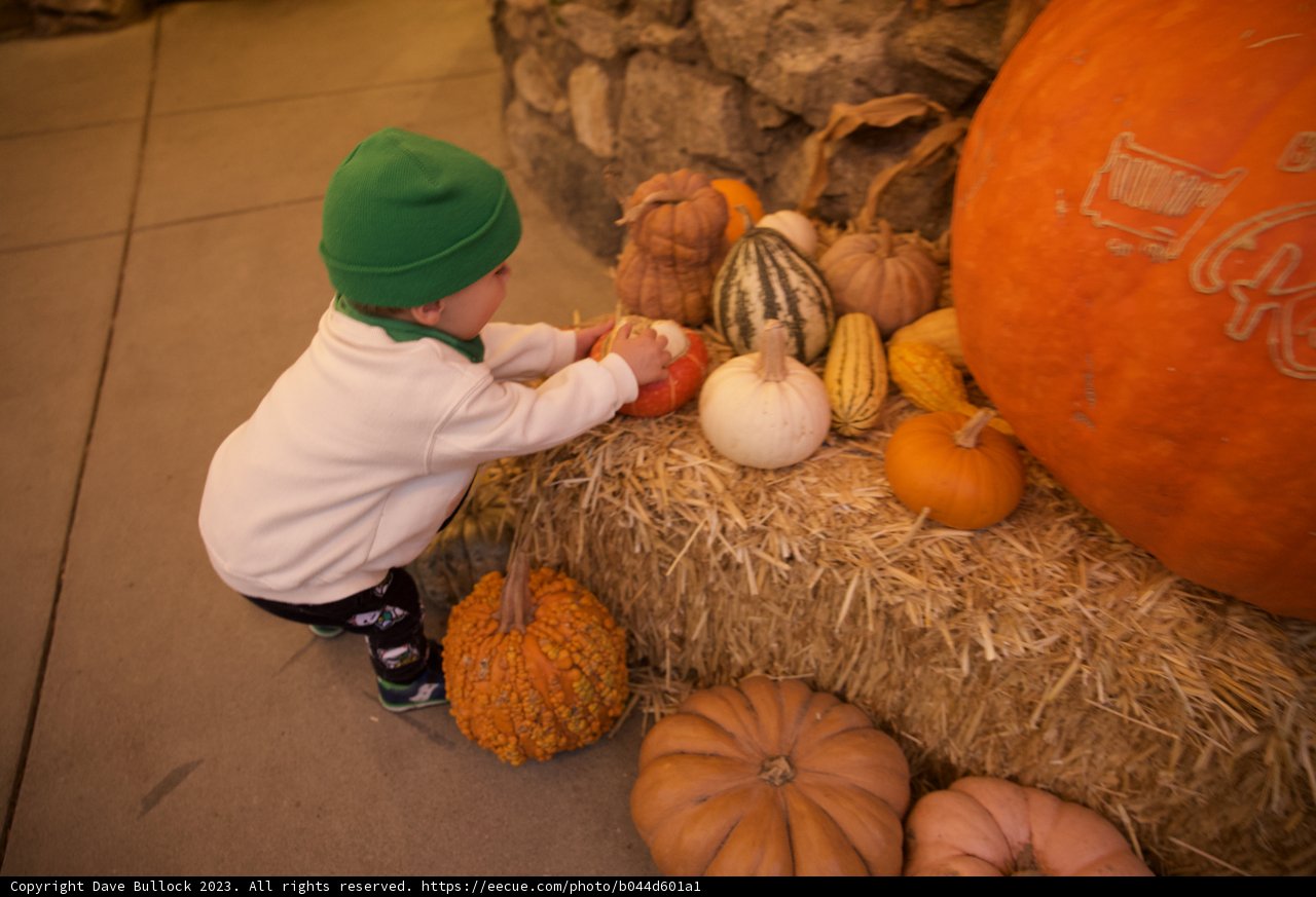 Autumn's Joy with Wesley